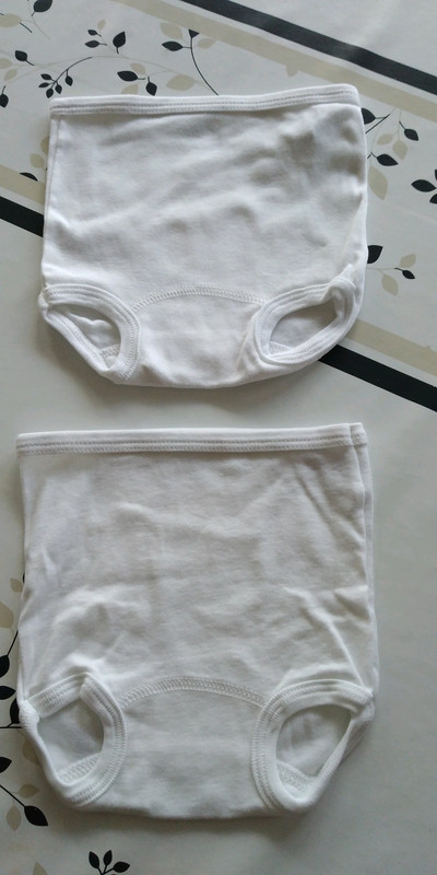 Lot De 2 Culottes Cache Couche Petit Bateau 6 Mois Vinted Lot De 2 Culottes Cache Couche Petit Bateau 6 Mois Vinted