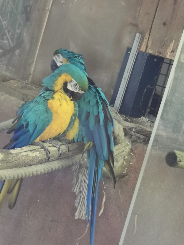 Porte Bebe Toi Et Moi Easy Clic Vinted Porte Bebe Toi Et Moi Easy Clic Vinted